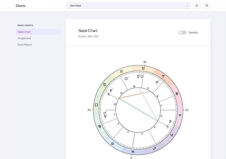 Astrology Chart